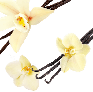 Ніжна ваніль-кориця Фон